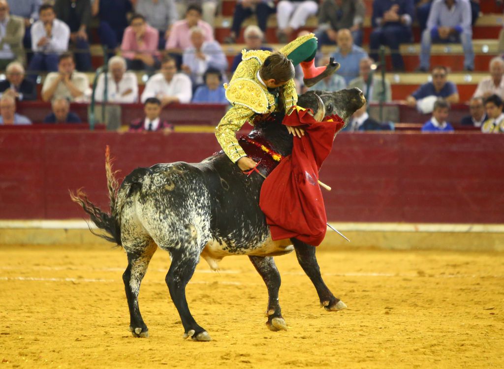 Zaragoza - Feria del Pilas - Cogida de Alejandro Mora - Viernes 5 de octubre de 2018