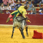 Zaragoza - Feria del Pilas - Cogida de Alejandro Mora - Viernes 5 de octubre de 2018