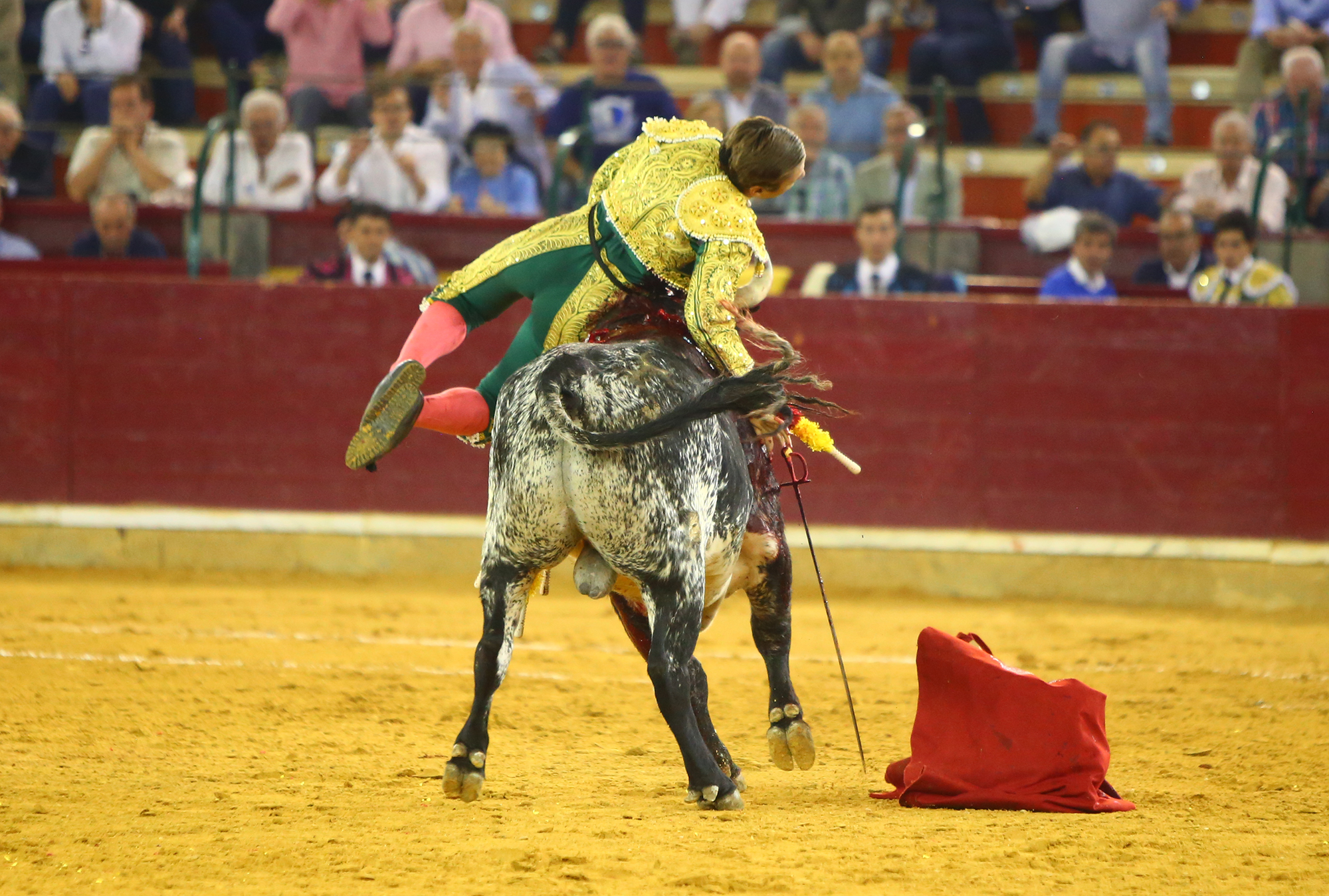 Zaragoza - Feria del Pilas - Cogida de Alejandro Mora - Viernes 5 de octubre de 2018