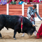 Hellín (Albacete) - Corrida de toros - Domingo 7 de octubre de 2018