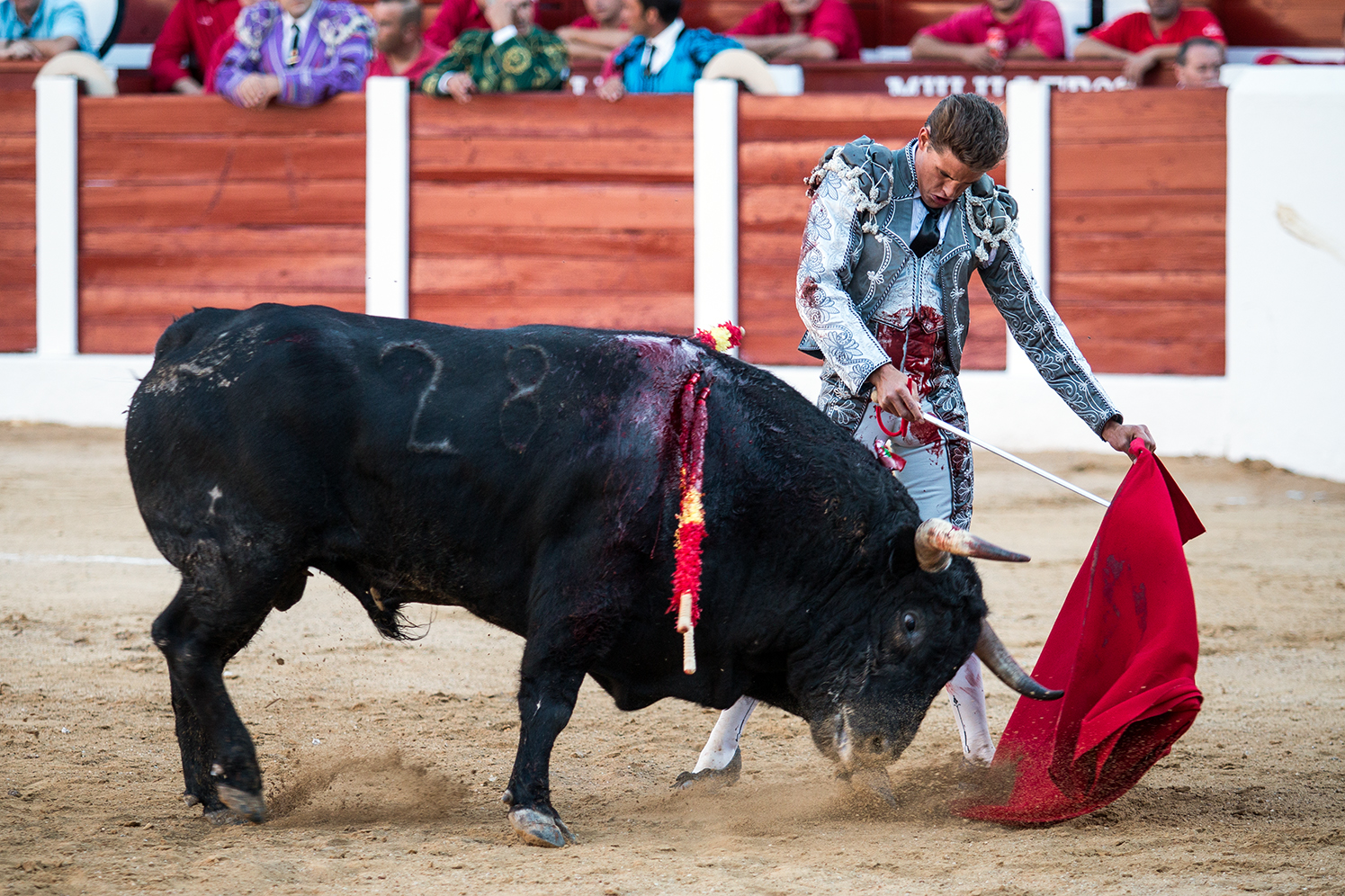 Hellín (Albacete) - Corrida de toros - Domingo 7 de octubre de 2018