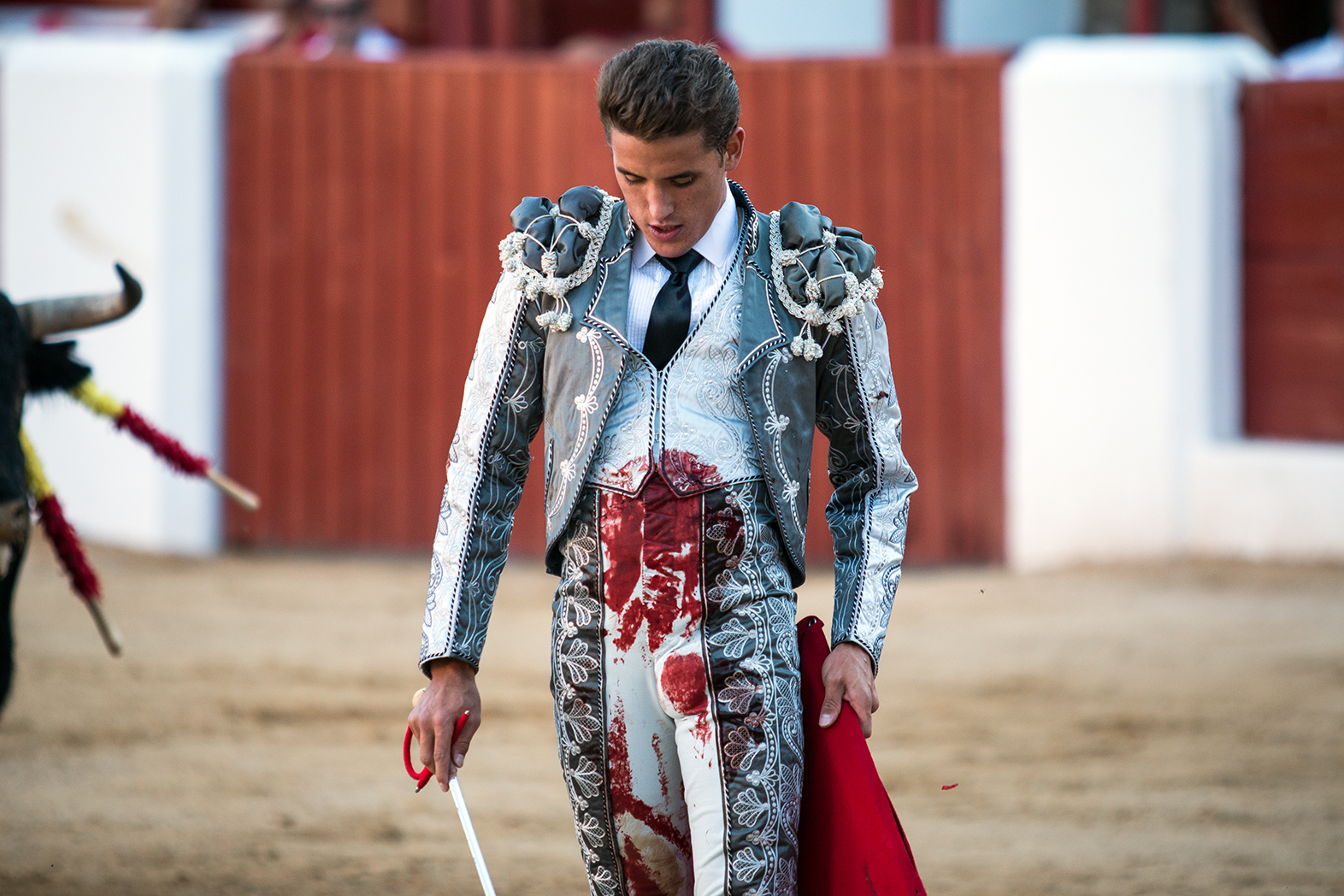 Hellín (Albacete) - Corrida de toros - Domingo 7 de octubre de 2018