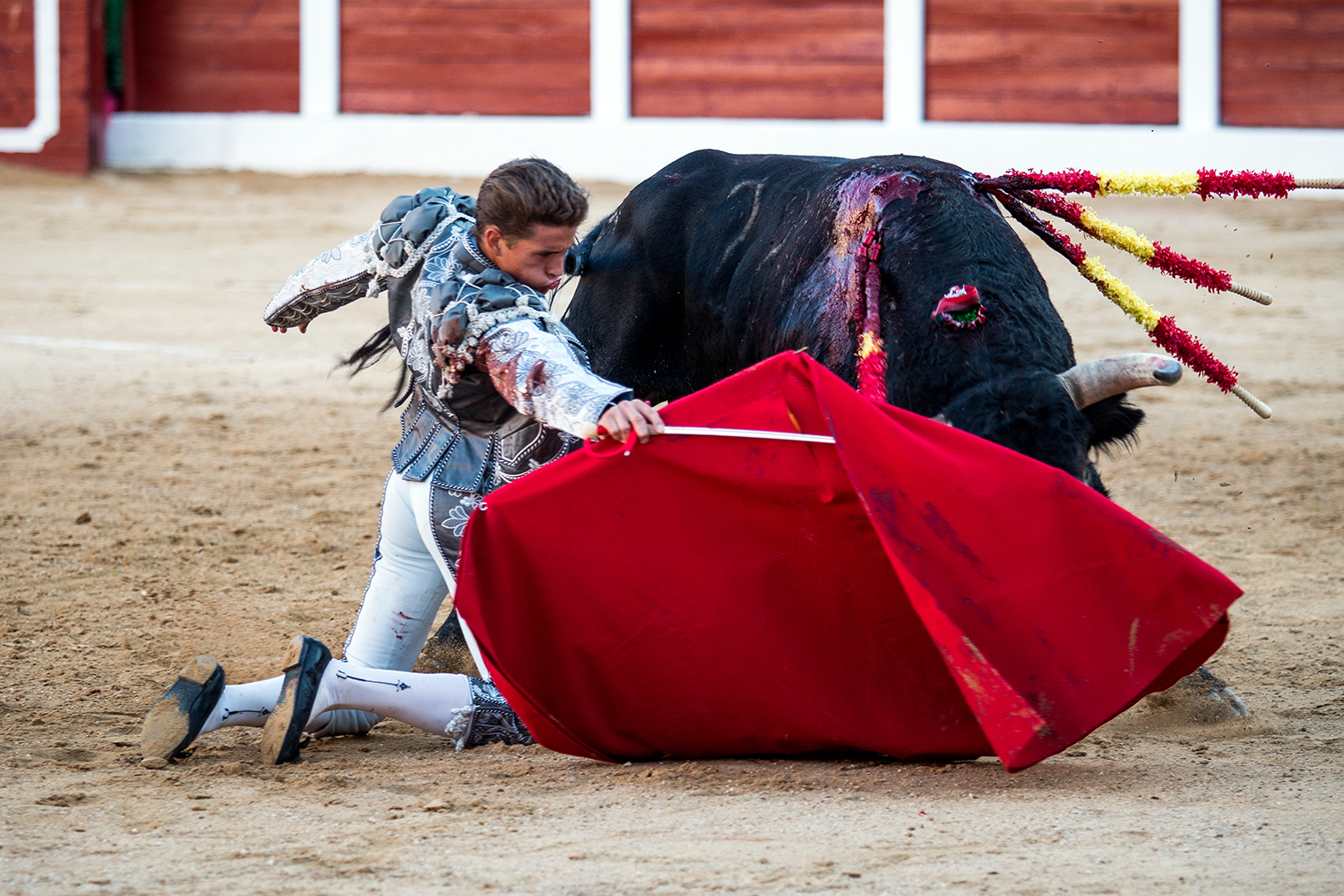 Hellín (Albacete) - Corrida de toros - Domingo 7 de octubre de 2018