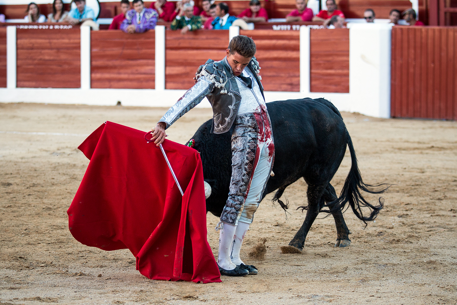 Hellín (Albacete) - Corrida de toros - Domingo 7 de octubre de 2018