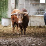 Sorteo. Zaragoza, 13 de octubre de 2018