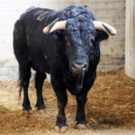 Sorteo. Zaragoza, 13 de octubre de 2018