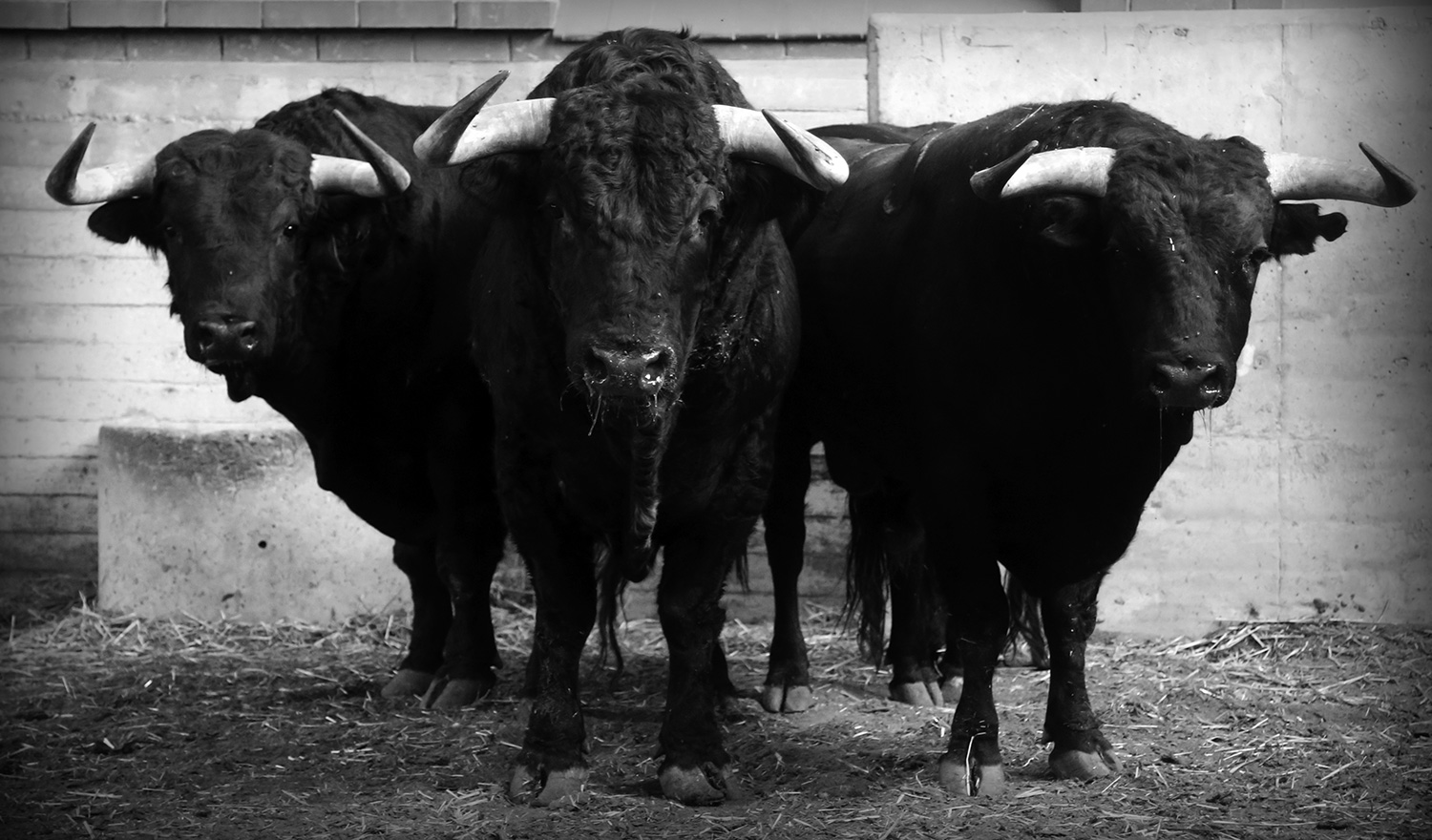 Sorteo. Zaragoza, 13 de octubre de 2018