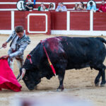 Hellín (Albacete) - Corrida de toros - Domingo 7 de octubre de 2018