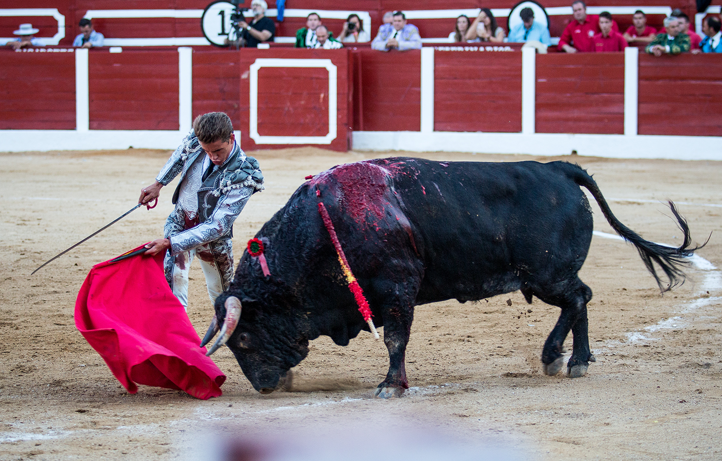 Hellín (Albacete) - Corrida de toros - Domingo 7 de octubre de 2018