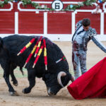 Hellín (Albacete) - Corrida de toros - Domingo 7 de octubre de 2018