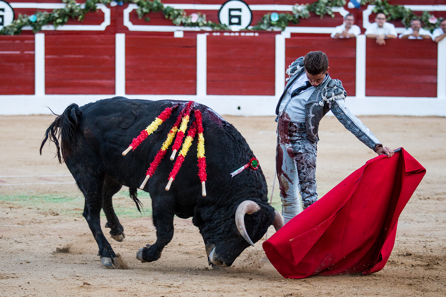 Hellín (Albacete) - Corrida de toros - Domingo 7 de octubre de 2018