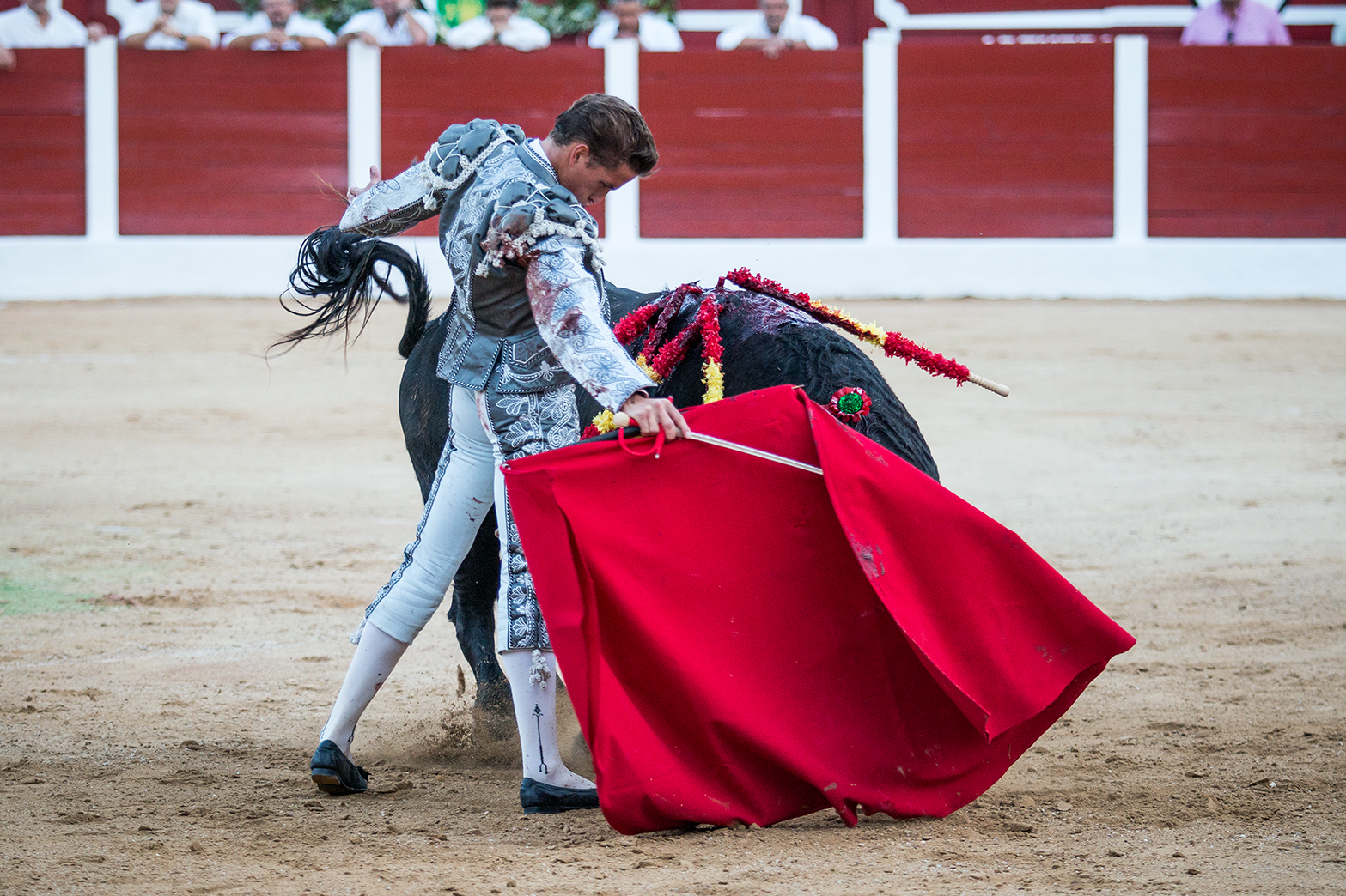 Hellín (Albacete) - Corrida de toros - Domingo 7 de octubre de 2018
