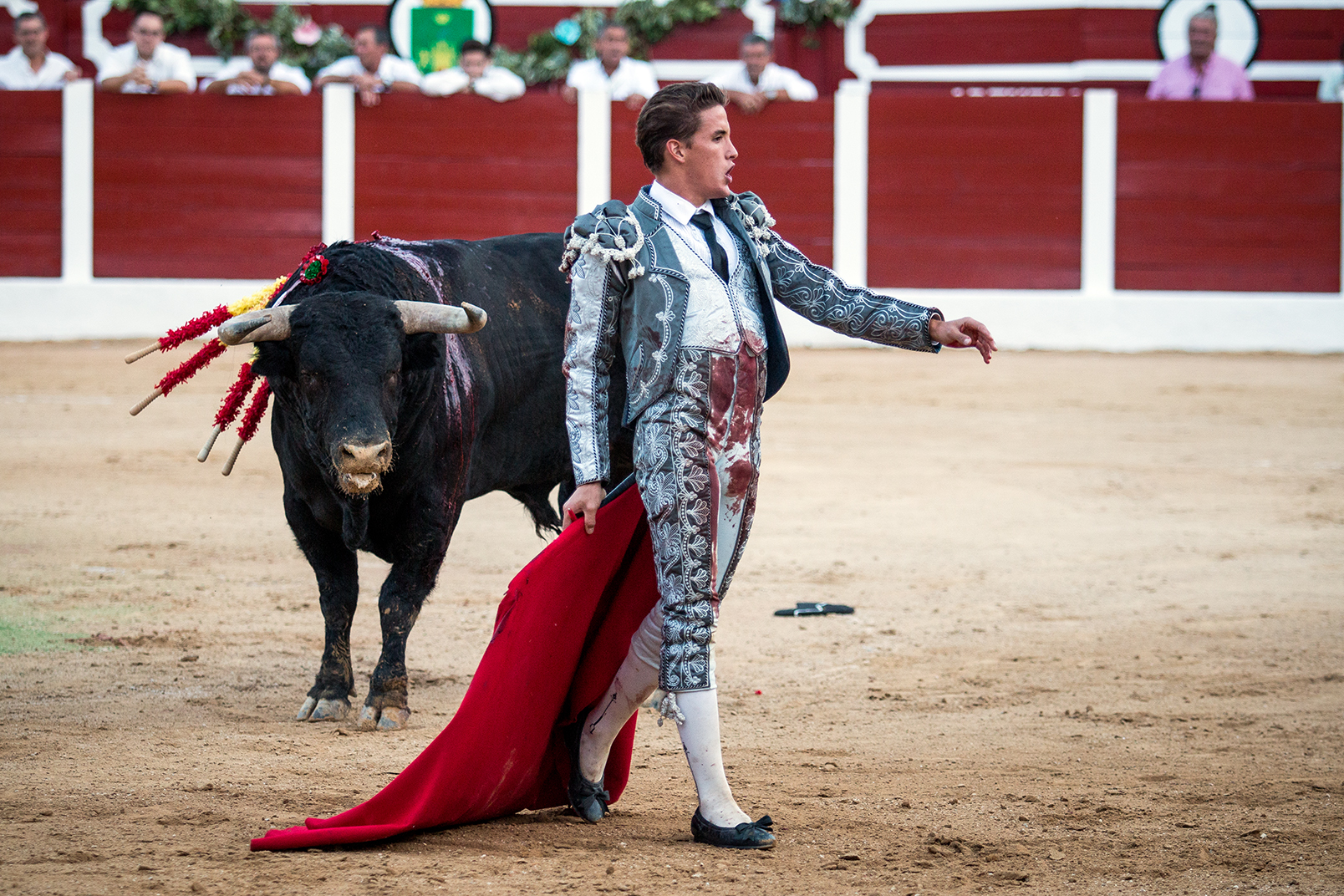 Hellín (Albacete) - Corrida de toros - Domingo 7 de octubre de 2018