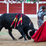 Hellín (Albacete) - Corrida de toros - Domingo 7 de octubre de 2018