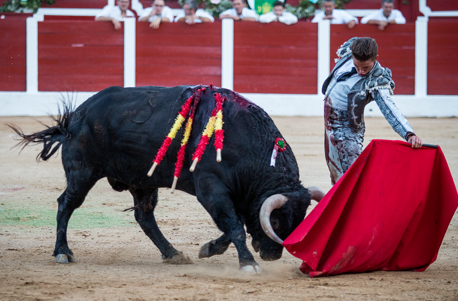 Hellín (Albacete) - Corrida de toros - Domingo 7 de octubre de 2018