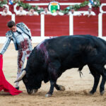 Hellín (Albacete) - Corrida de toros - Domingo 7 de octubre de 2018