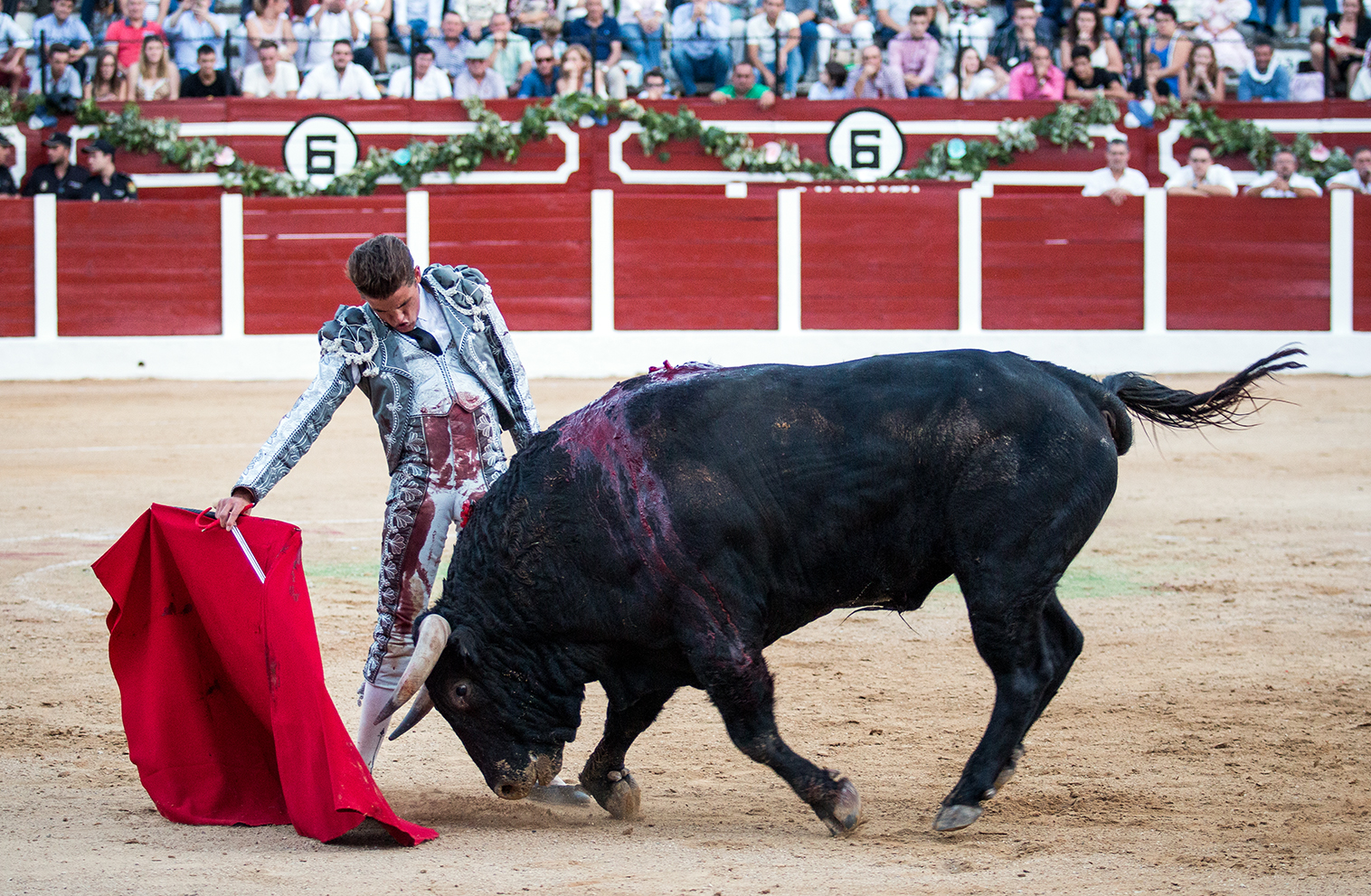 Hellín (Albacete) - Corrida de toros - Domingo 7 de octubre de 2018