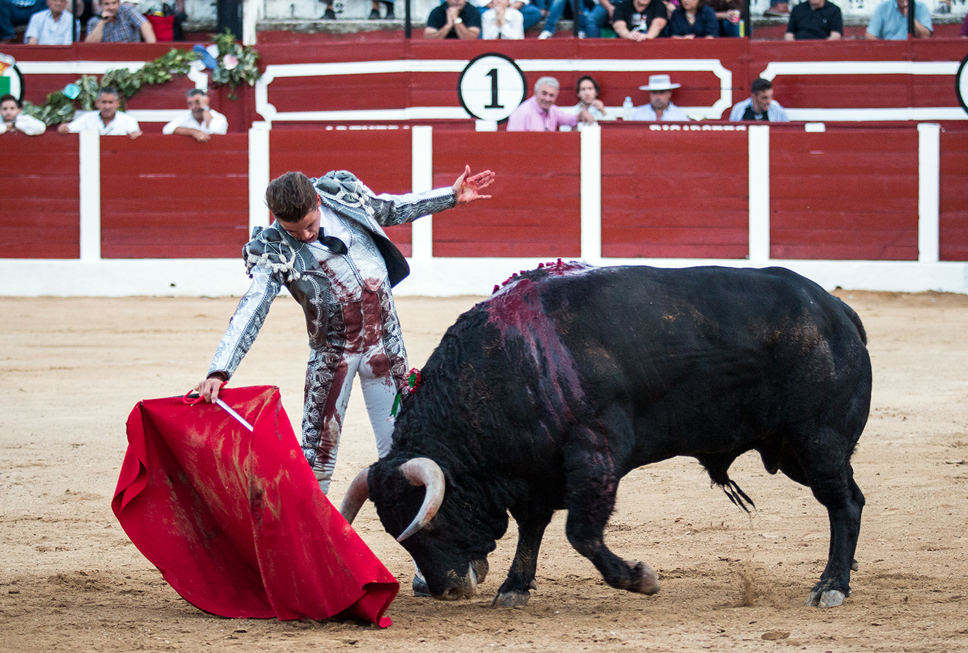 Hellín (Albacete) - Corrida de toros - Domingo 7 de octubre de 2018