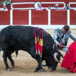 Hellín (Albacete) - Corrida de toros - Domingo 7 de octubre de 2018