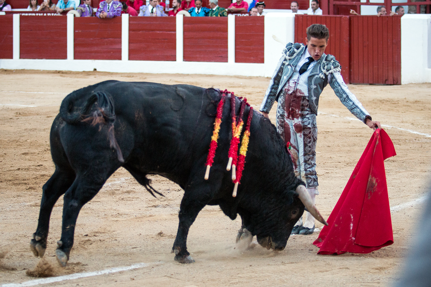 Hellín (Albacete) - Corrida de toros - Domingo 7 de octubre de 2018