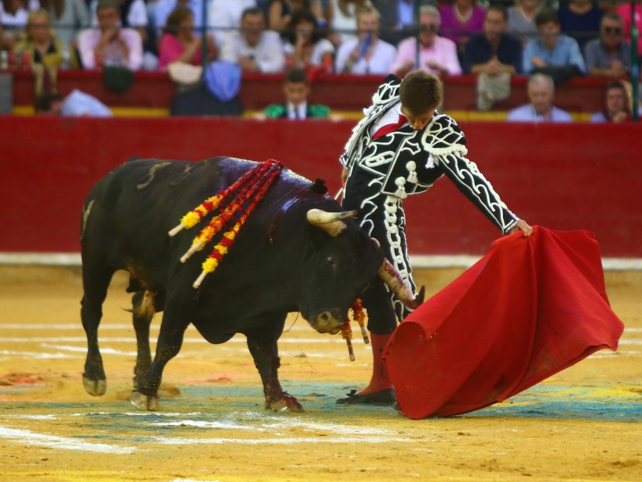 Zaragoza, 13 de octubre de 2018