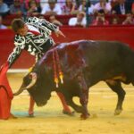 Zaragoza, 13 de octubre de 2018