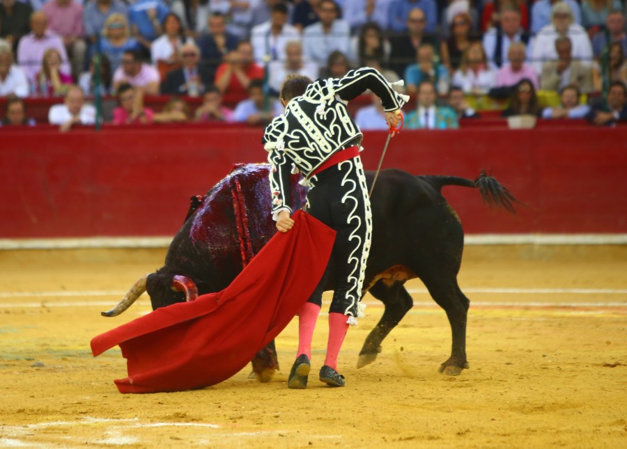 Zaragoza, 13 de octubre de 2018