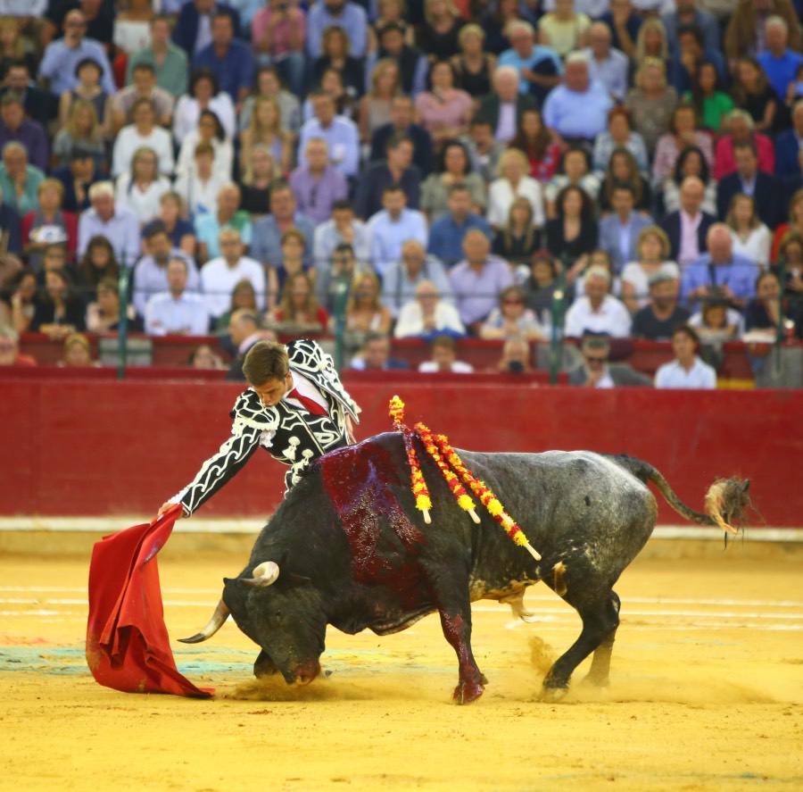 Zaragoza, 13 de octubre de 2018