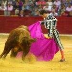 Zaragoza, 13 de octubre de 2018