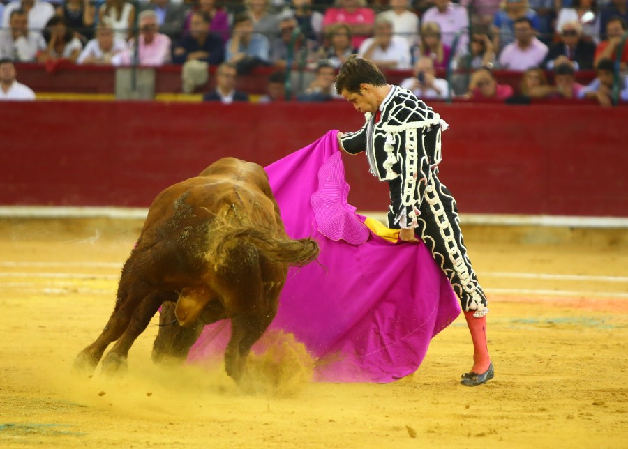 Zaragoza, 13 de octubre de 2018