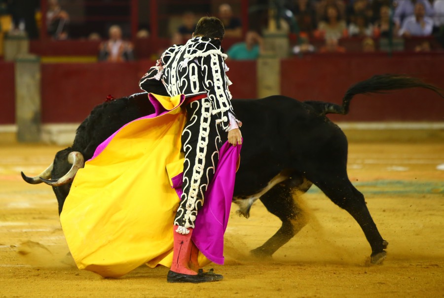Zaragoza, 13 de octubre de 2018