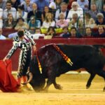 Zaragoza, 13 de octubre de 2018