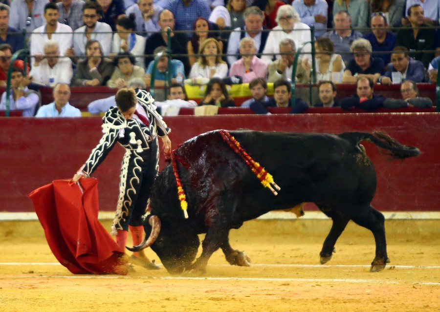 Zaragoza, 13 de octubre de 2018