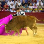 Zaragoza, 13 de octubre de 2018