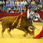 Zaragoza, 13 de octubre de 2018