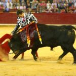 Zaragoza, 13 de octubre de 2018