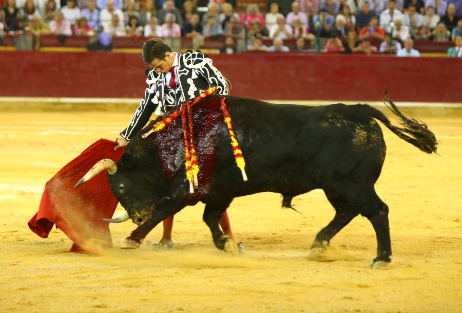 Zaragoza, 13 de octubre de 2018