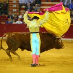 Zaragoza, martes 9 de octubre de 2018. Novillos de El Parralejo y Carriquiri para Pablo Mora, Francisco de Manuel y Manuel Diosleguarde