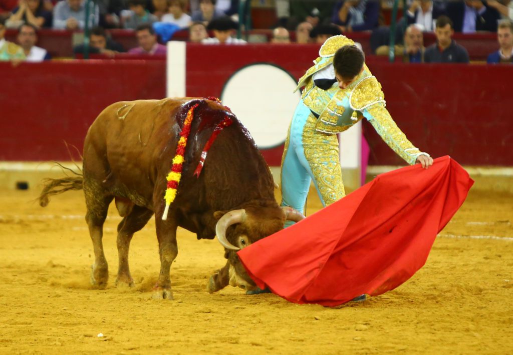 Zaragoza, martes 9 de octubre de 2018. Novillos de El Parralejo y Carriquiri para Pablo Mora, Francisco de Manuel y Manuel Diosleguarde