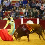 Zaragoza, martes 9 de octubre de 2018. Novillos de El Parralejo y Carriquiri para Pablo Mora, Francisco de Manuel y Manuel Diosleguarde