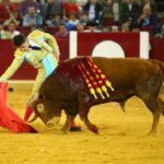Zaragoza, martes 9 de octubre de 2018. Novillos de El Parralejo y Carriquiri para Pablo Mora, Francisco de Manuel y Manuel Diosleguarde