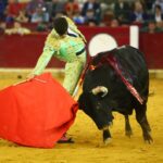 Zaragoza, martes 9 de octubre de 2018. Novillos de El Parralejo y Carriquiri para Pablo Mora, Francisco de Manuel y Manuel Diosleguarde