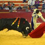Zaragoza, martes 9 de octubre de 2018. Novillos de El Parralejo y Carriquiri para Pablo Mora, Francisco de Manuel y Manuel Diosleguarde