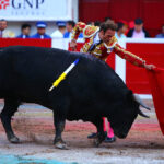 Aguascalientes (México) - Corrida de toros - Sábado 20 de octubre de 2018