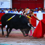 Aguascalientes (México) - Corrida de toros - Sábado 20 de octubre de 2018