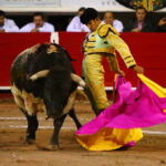 Aguascalientes (México) - Corrida de toros - Sábado 20 de octubre de 2018