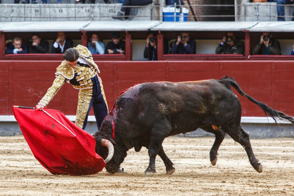 Madrid. Domingo 14 de octubre de 2018.