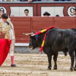 Madrid. Domingo 14 de octubre de 2018.