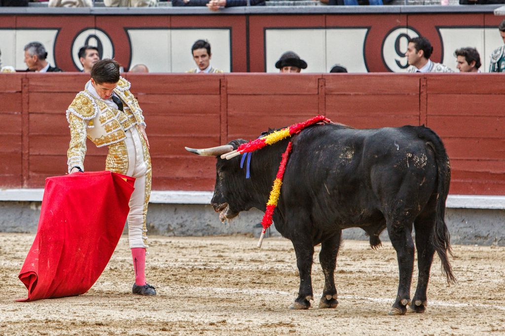 Madrid. Domingo 14 de octubre de 2018.