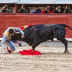 Madrid. Domingo 14 de octubre de 2018.